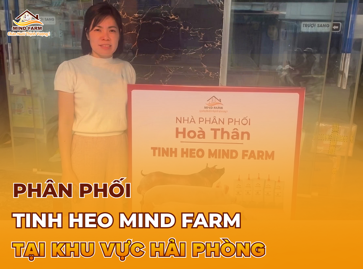 [ĐẠI LÝ SỐ 403] phân phối tinh heo Mind Farm tại Hải Phòng