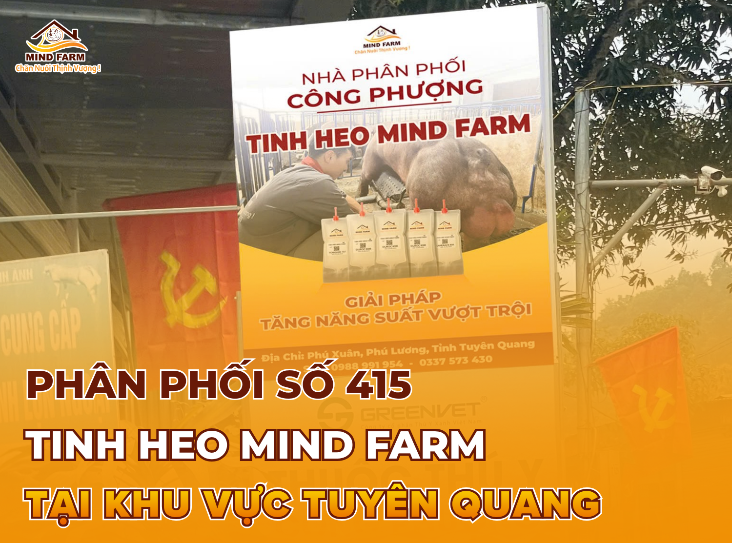 [ĐẠI LÝ SỐ 415] phân phối tinh heo Mind Farm tại Tuyên Quang