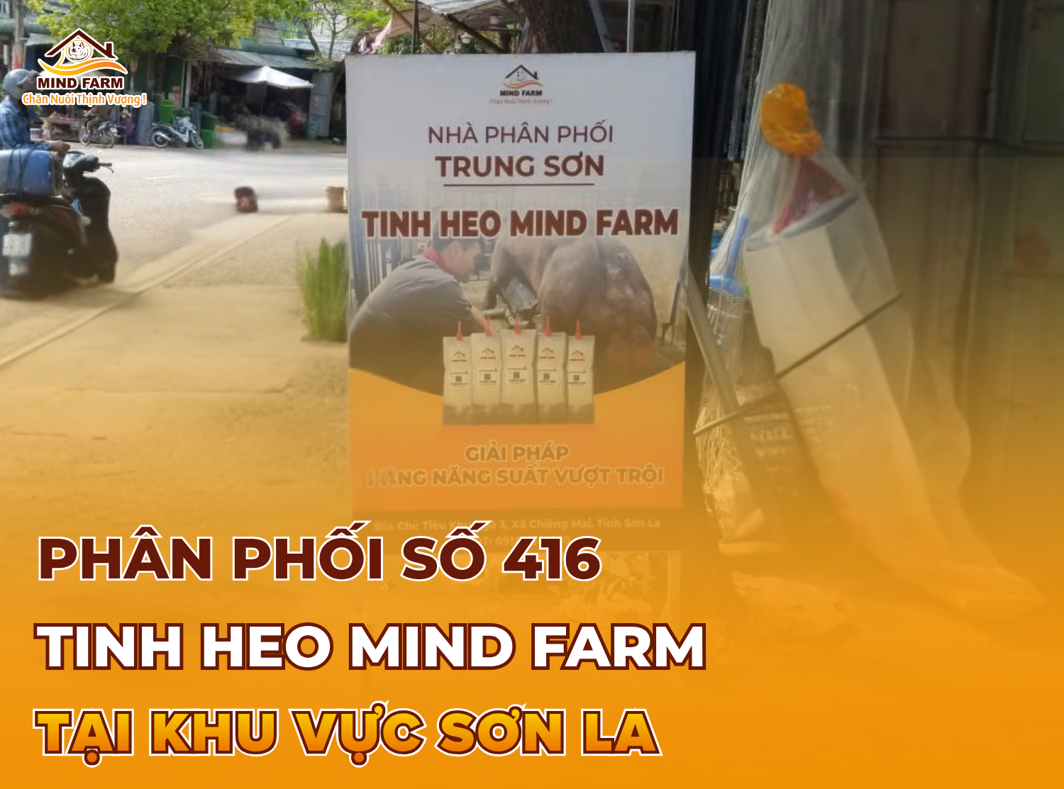 [ĐẠI LÝ SỐ 416] phân phối tinh heo Mind Farm tại Sơn La