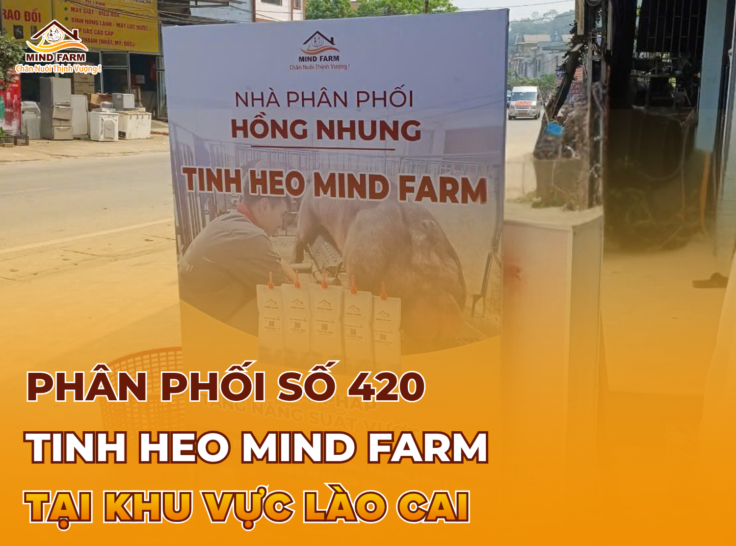 [ĐẠI LÝ THỨ 420] Phân phối tinh heo Mind Farm tại khu vực Lào Cai