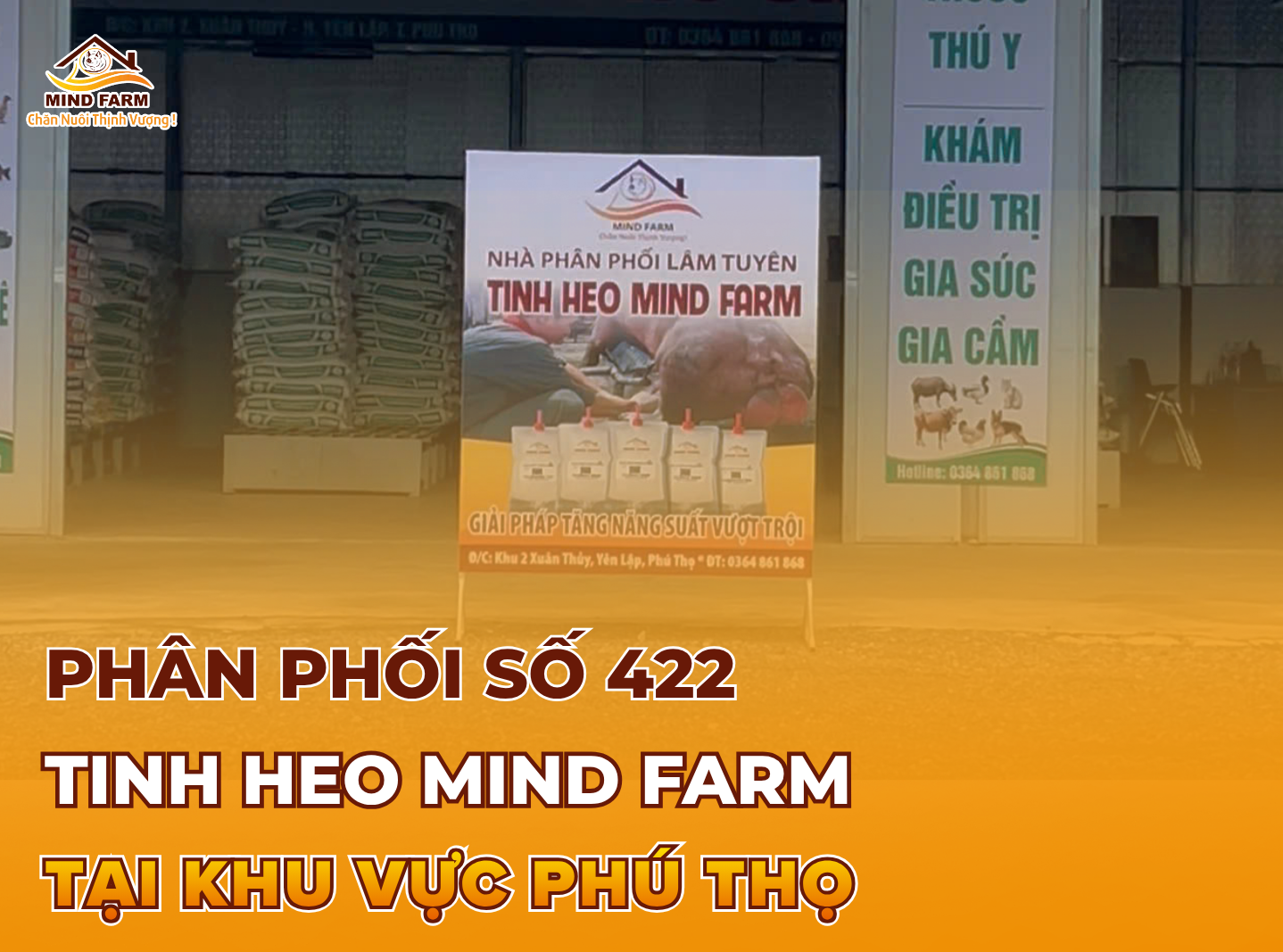 [ĐẠI LÝ SỐ 422] Phân phối tinh heo Mind Farm tại Phú Thọ
