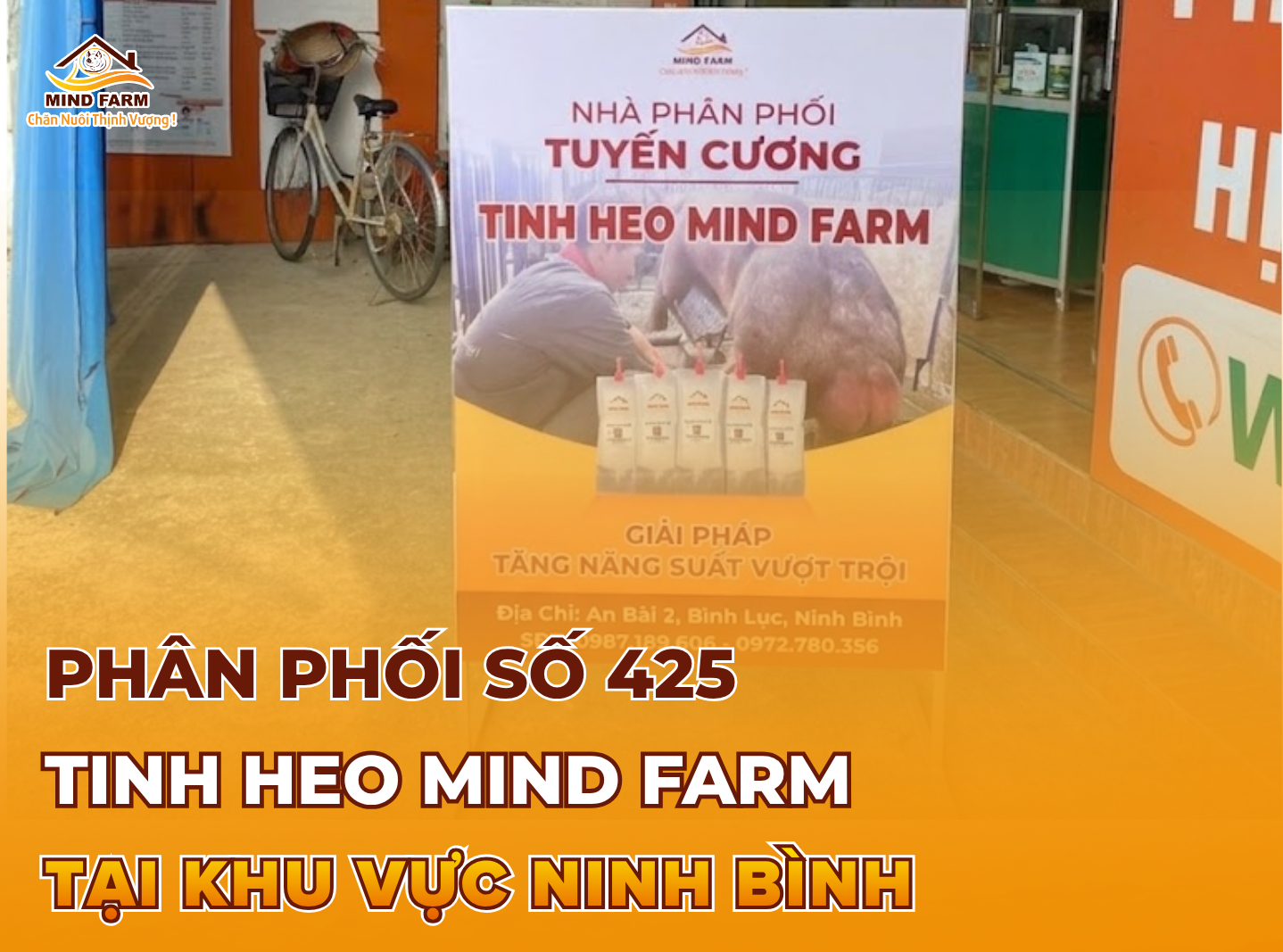 [ĐẠI LÝ SỐ 425] Phân phối tinh heo Mind Farm tại khu vực Ninh Bình
