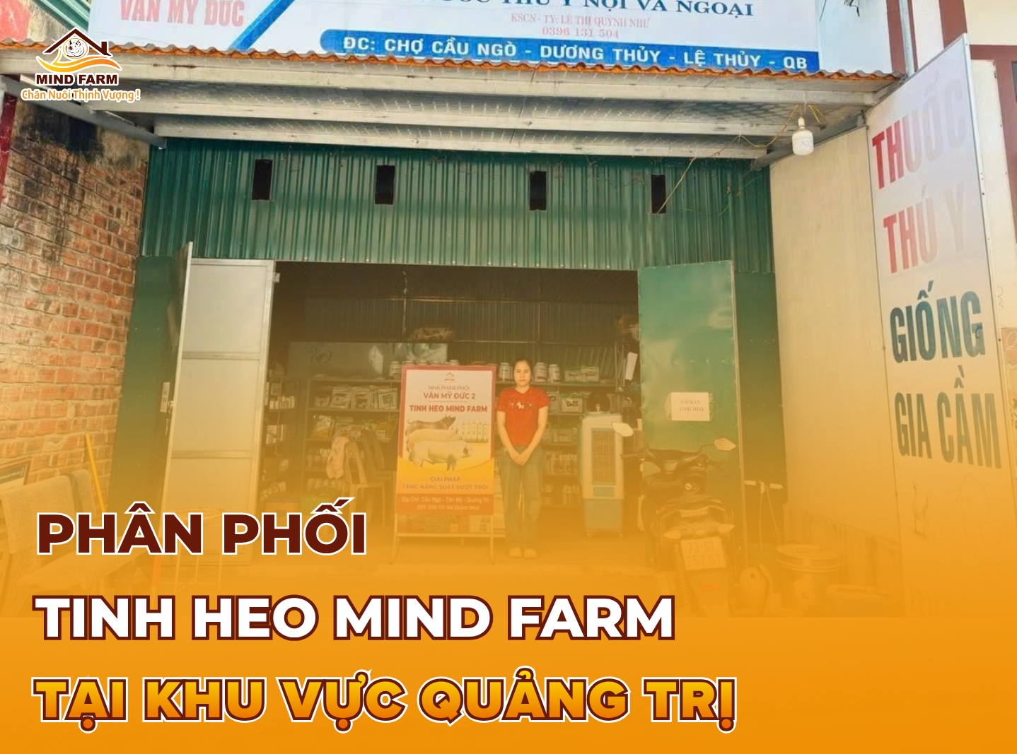 [ĐẠI LÝ SỐ 401] Phân phối tinh heo Mind Farm tại Quảng Trị