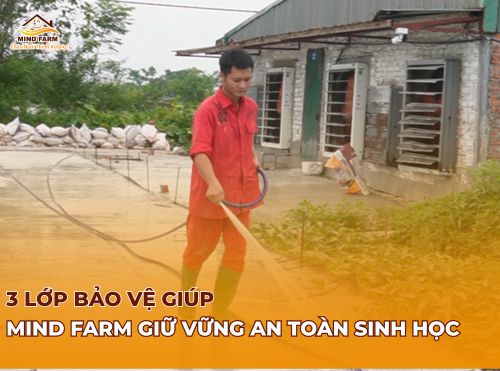 3 lớp bảo vệ giúp Mind Farm giữ vững an toàn sinh học 