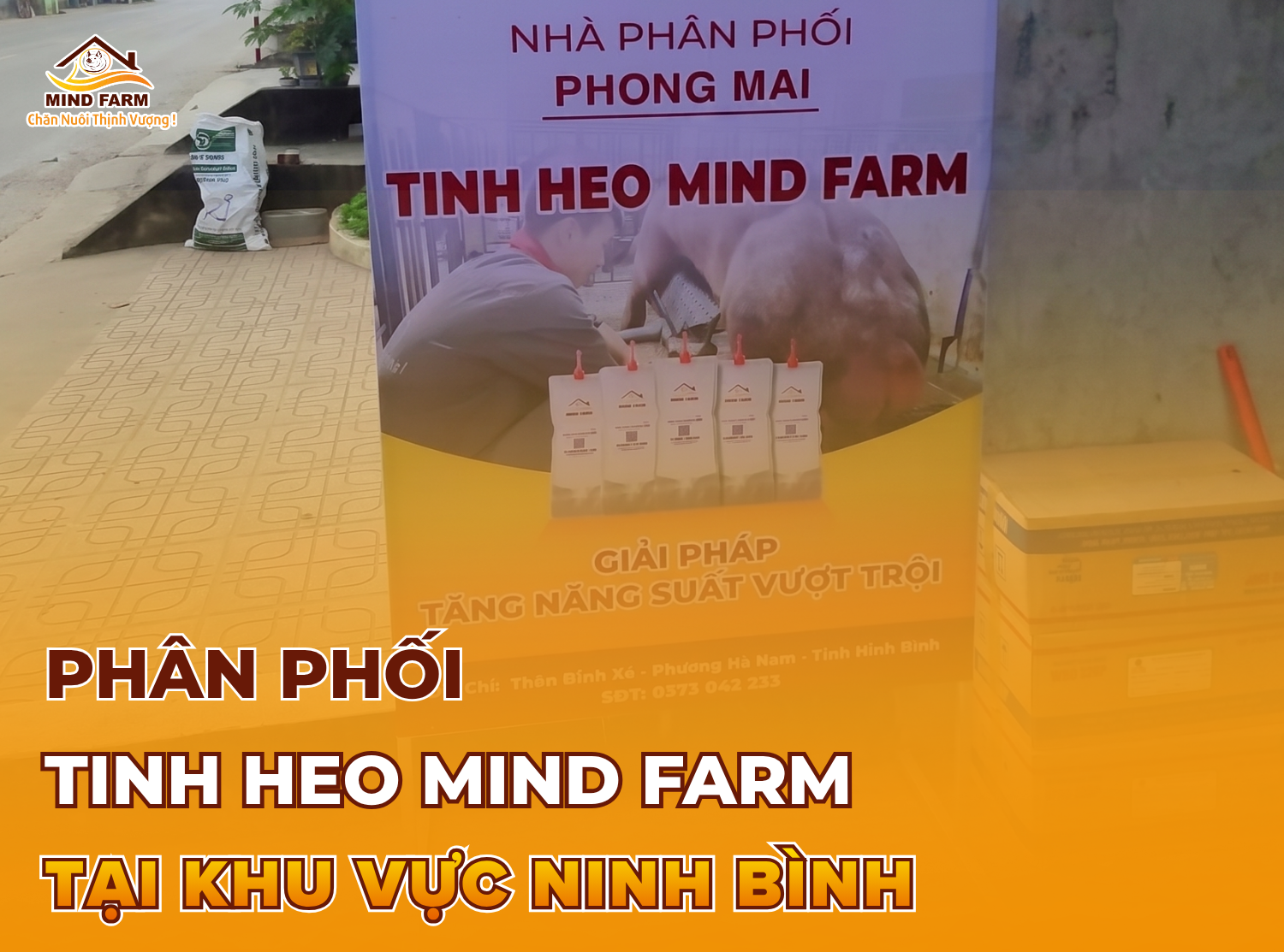 [ĐẠI LÝ SỐ 411] Phân phối tinh heo Mind Farm tại khu vực Ninh Bình