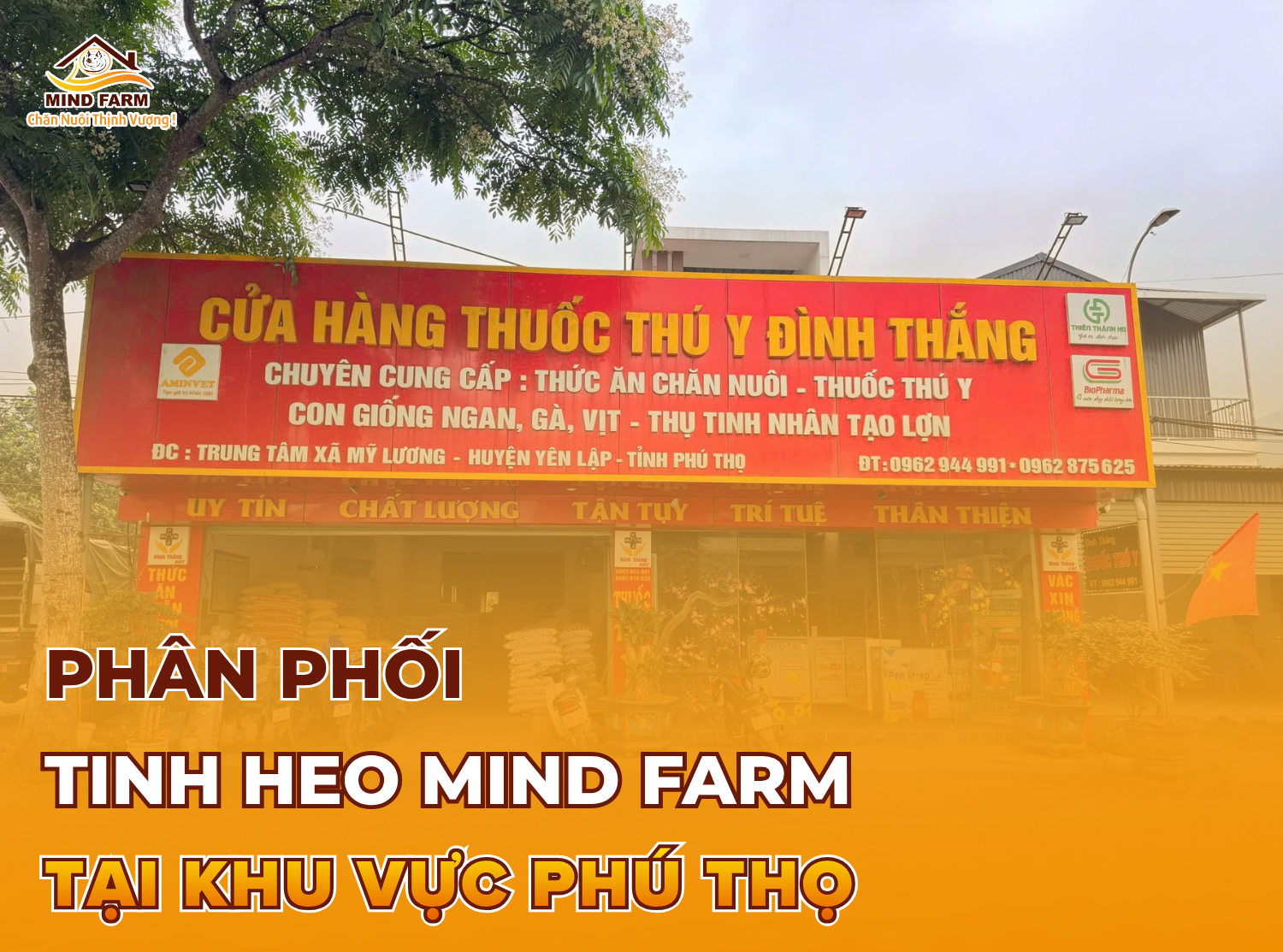 [ĐẠI LÝ SỐ 409] Phân phối tinh heo Mind Farm tại khu vực Phú Thọ.