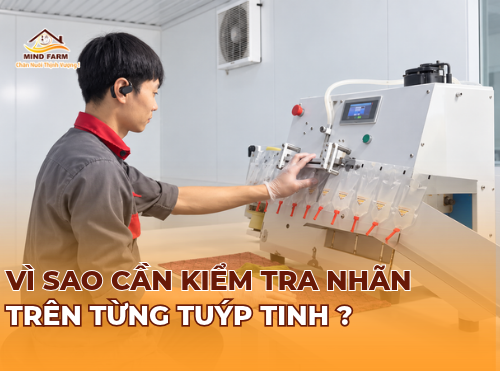 Vì sao cần kiểm tra nhãn trên từng tuýp tinh ?