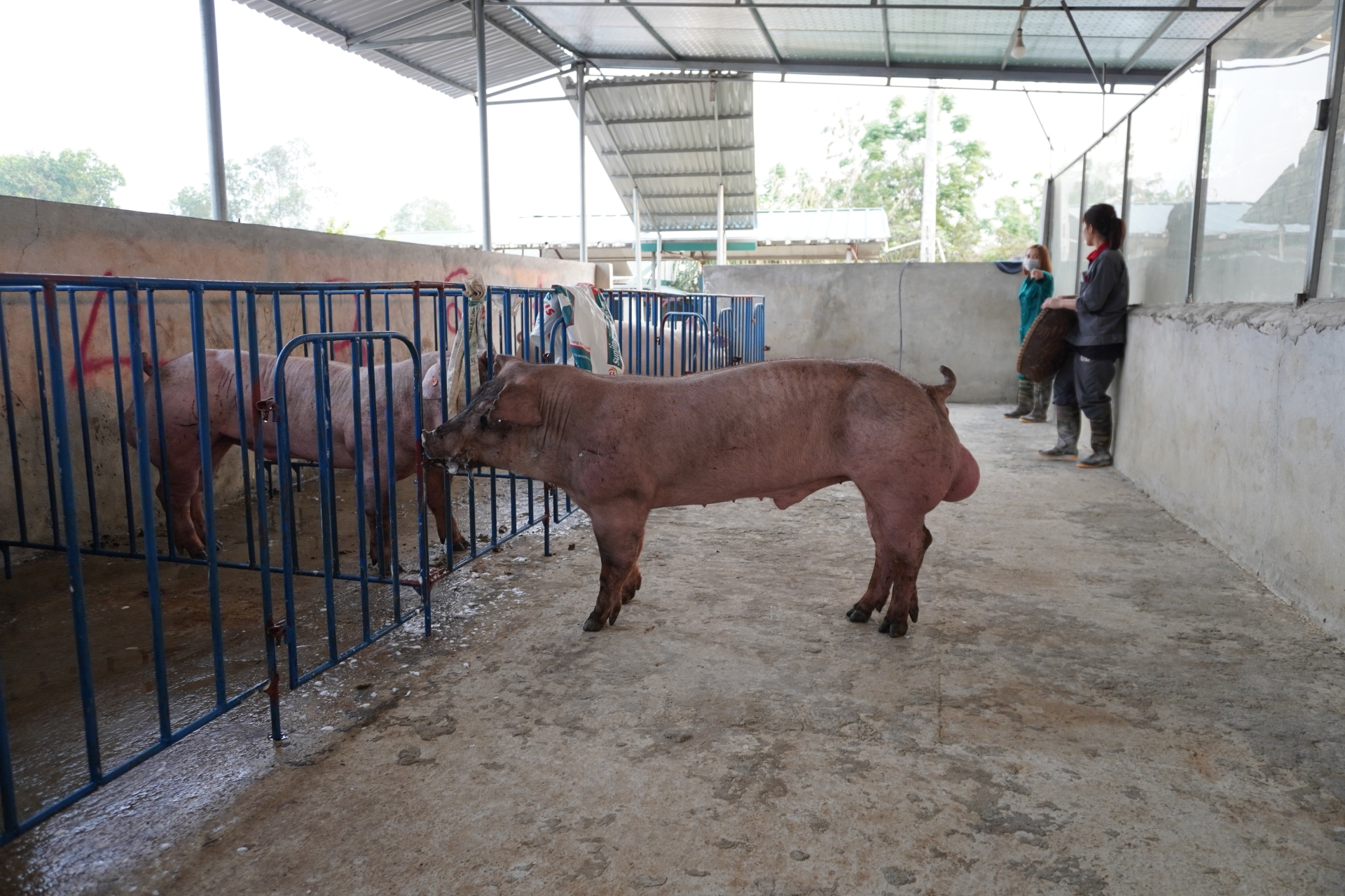 DUROC 9042