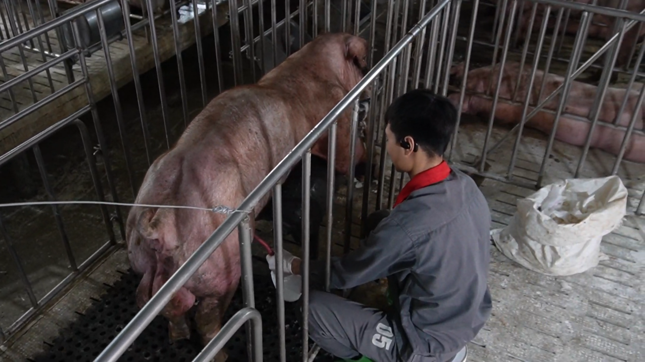 ATSH thế nào trong khai thác & sản xuất tinh?"