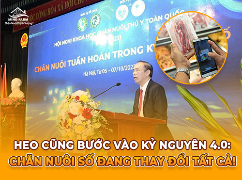 Hướng đi nào tất yếu cho ngành heo Việt Nam trong kỷ nguyên công nghệ?