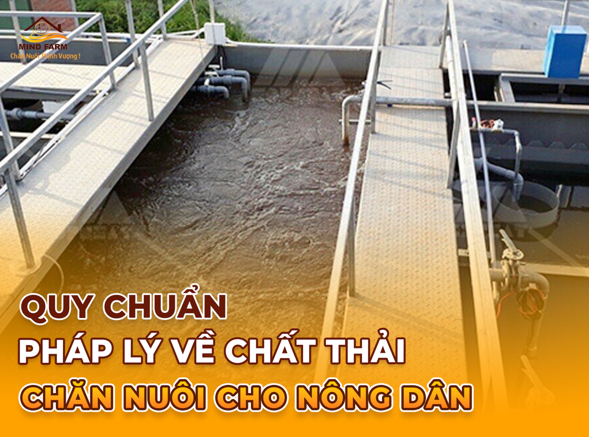 Quy chuẩn nước thải chăn nuôi chính thức được áp dụng từ ngày 01/9/2025