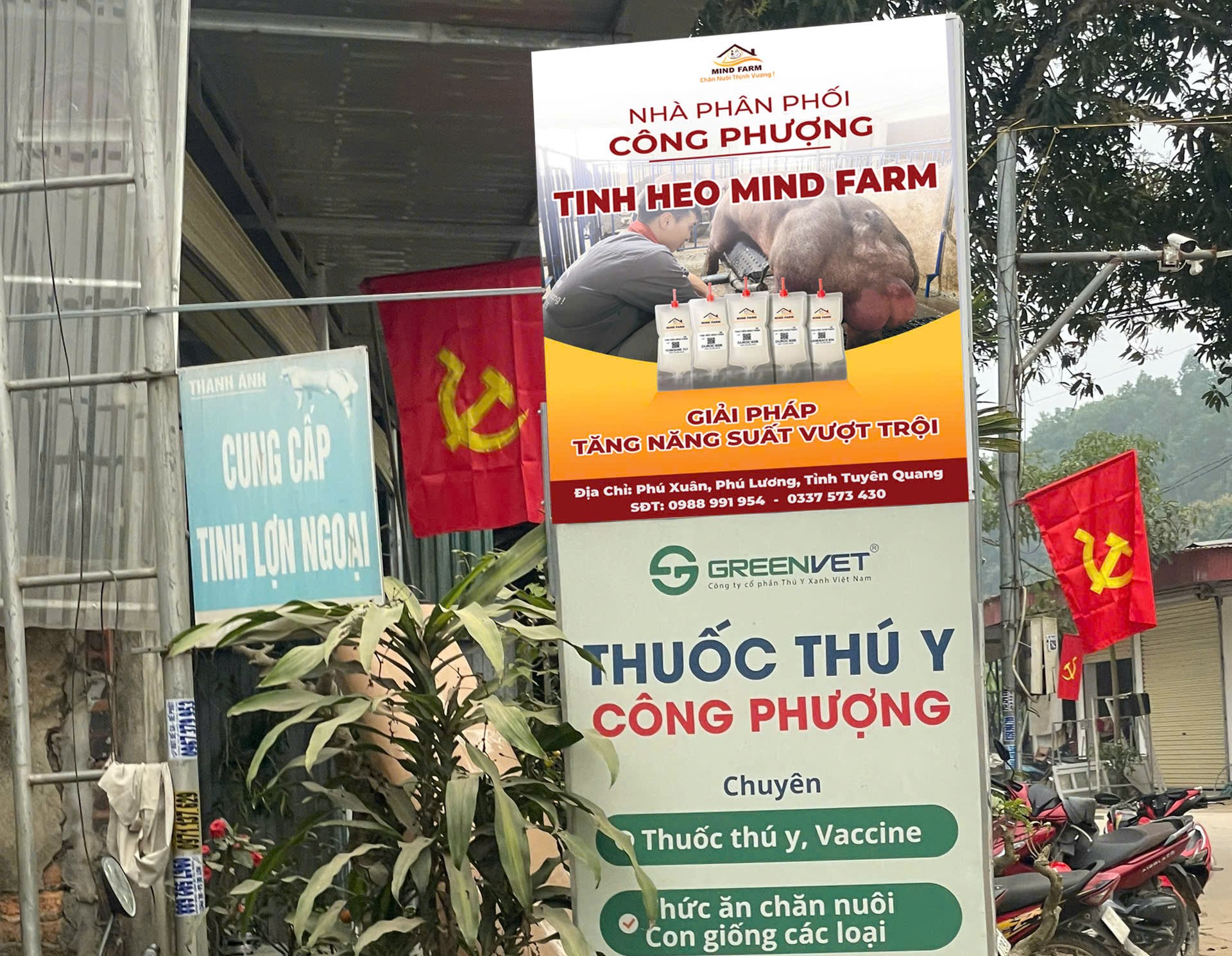 [ĐẠI LÝ SỐ 415] phân phối tinh heo Mind Farm tại Tuyên Quang