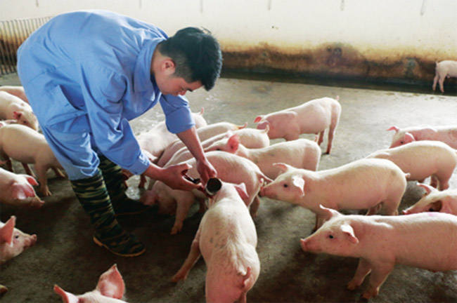 Phần 3: Những sai lầm phổ biến khi giã đông vacxin và cách phòng tránh