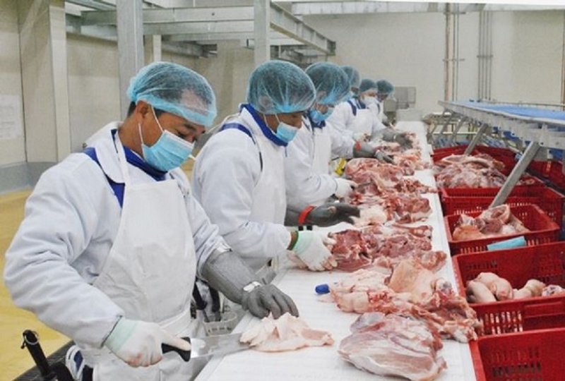 Siết chặt chuỗi phân phối thịt lợn: Giải pháp then chốt để đảm bảo an toàn thực phẩm