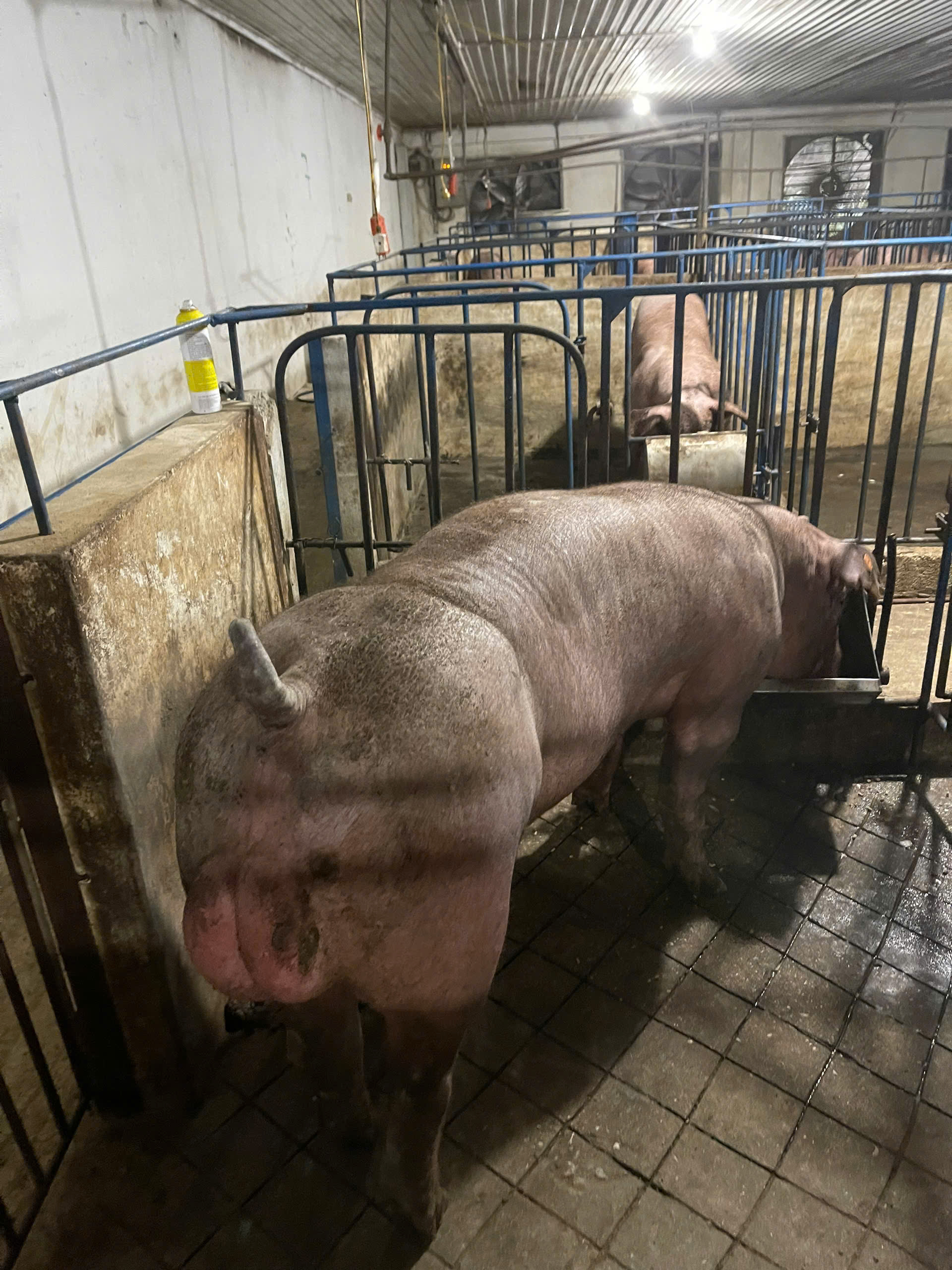 DUROC 9069