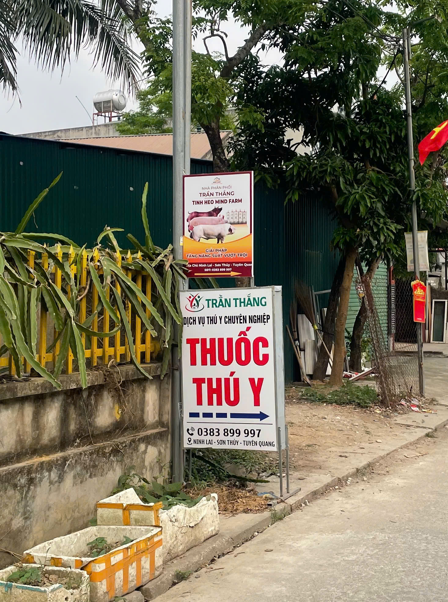 [ĐẠI LÝ SỐ 407] Phân phối tinh heo Mind Farm tại khu vực Tuyên Quang