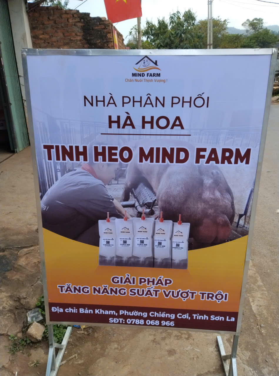 [ĐẠI LÝ THỨ 406] phân phối tinh heo Mind Farm tại Sơn La