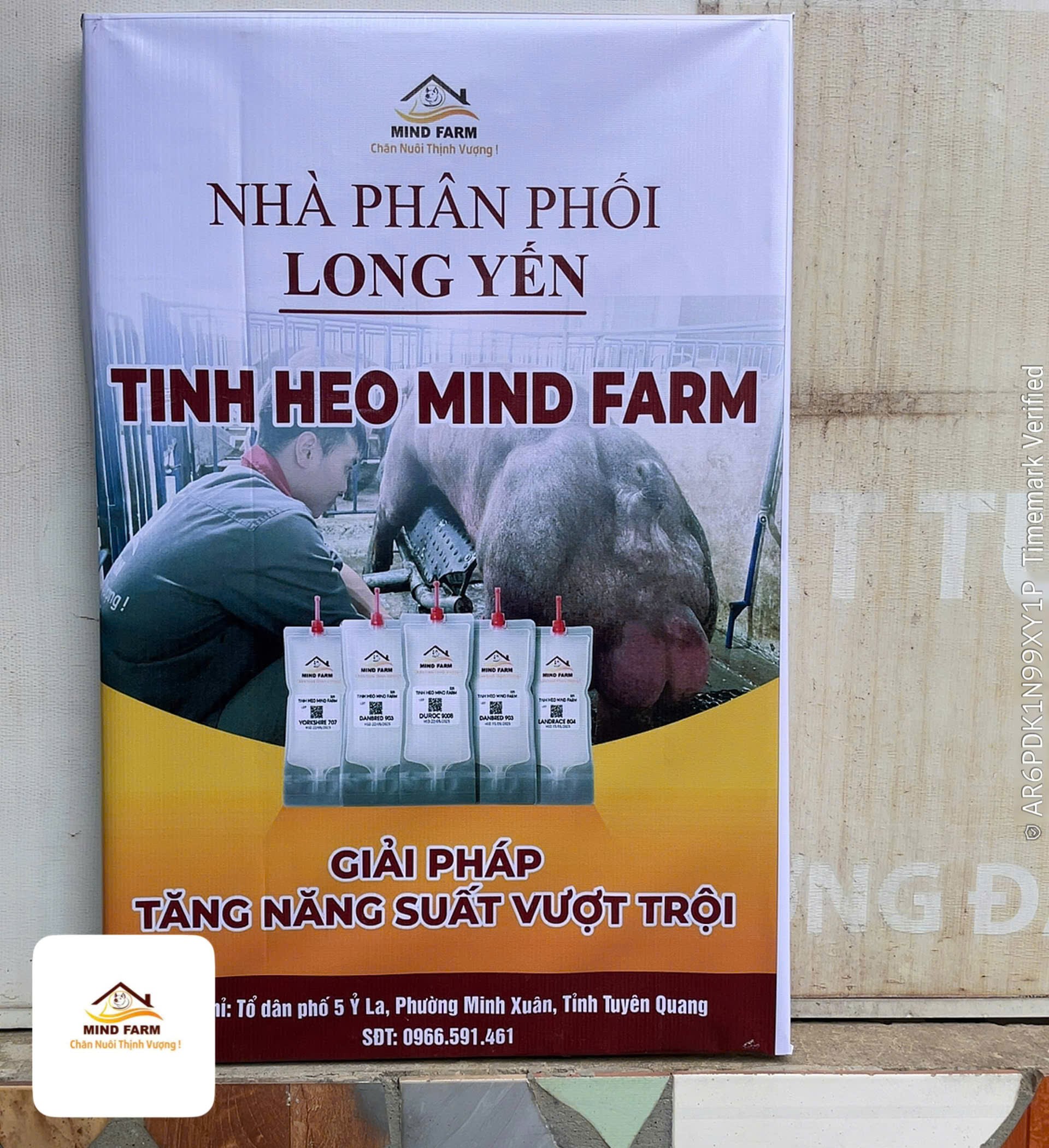 [ĐẠI LÝ SỐ 417] phân phối tinh heo Mind Farm tại Tuyên Quang