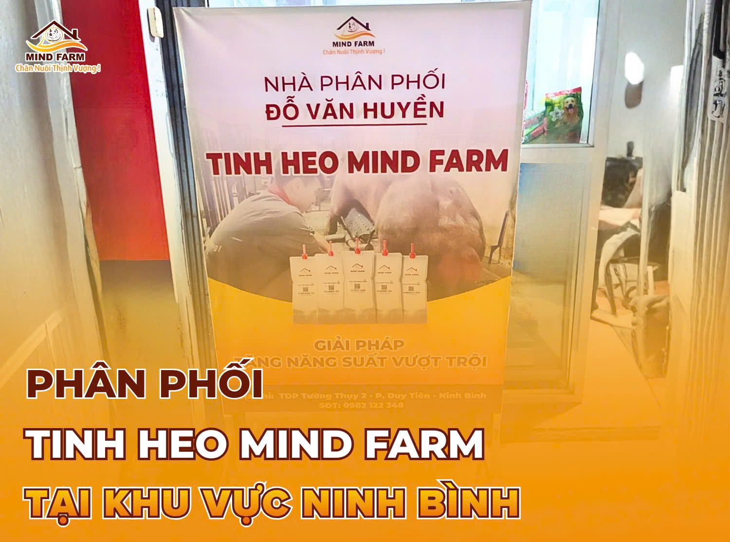 [ĐẠI LÝ SỐ 405] Phân phối tinh heo Mind Farm tại khu vực Ninh Bình