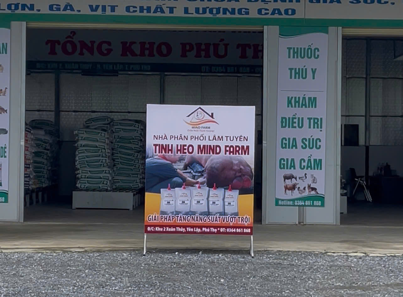 [ĐẠI LÝ SỐ 422] Phân phối tinh heo Mind Farm tại Phú Thọ